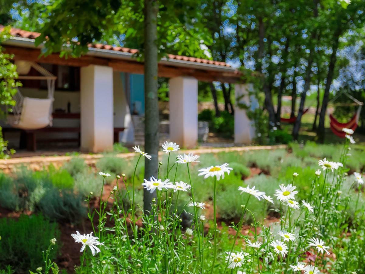 Holiday Home Country House D&D By Interhome พูลา ภายนอก รูปภาพ